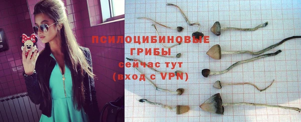 МДМА Абаза