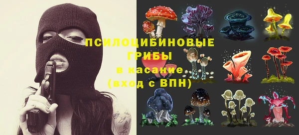 мет Новодвинск