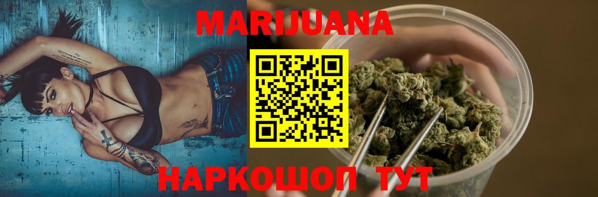 Бошки Шишки планчик Абакан